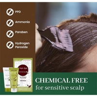 ODM Disponible Color Crema Semipermanente Natural Negro Tinte para el cabello Sin amoníaco Tinte para el cabello vegano