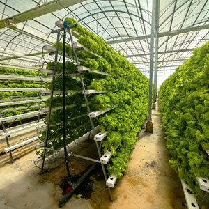 Sistema Hidropónico Vertical NFT Completo para Cultivo de Lechuga, Sistema Hidropónico NFT para Plantar Vegetales, Kit Completo NFT para Fresas - Product Image 1