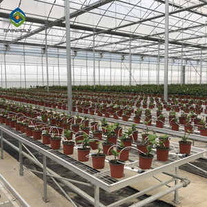 เรือนกระจกขนาดใหญ่ผักพาณิชย์จีนสำหรับระบบไฮโดรโปนิเห็ดเรือนกระจกฟิล์มพลาสติกเรือนกระจกการเกษตร - Product Image 6