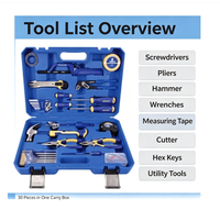 Kit de Herramientas Manuales Multifuncional de 30 Piezas, Caja de Plástico Portátil, Herramientas Manuales para Uso Doméstico y en Taller