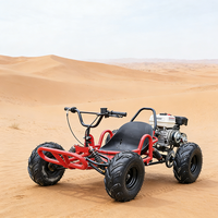 Go Karts con Pedal de Aceleración para Adultos, UTV Todoterreno para Carreras Fuera de Carretera, Dunas de Arena, Playa, Montaña, Motor de 4 Tiempos, Cadena, Uso en Exteriores