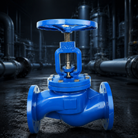 Vanne à soupape manuelle en fonte ductile à brides PN16 DN125, personnalisée OEM/ODM pour le contrôle de l'eau