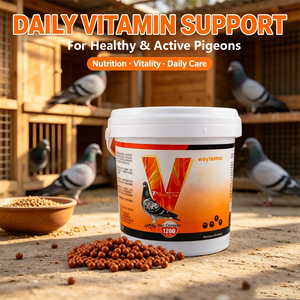 Suplemento para <span class=keywords><strong>Palomas</strong></span> Waylemo, Vitaminas Energéticas para Aves, Productos Nutricionales para <span class=keywords><strong>Palomas</strong></span> de Competición, OEM - Product Image 6