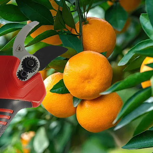 Forbici Elettriche Ricaricabili Senza Fili SENGXIN a Basso Prezzo con Batteria al Litio 16.8V, Motore Brushless, Taglio 28mm - Product Image 5