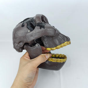 Modelo de Enseñanza de Cráneo de Australopithecus Boisei a Tamaño Real - Anatomía de <span class=keywords><strong>la</strong></span> Evolución Humana para Educación en Antropología y Biología - Product Image 5