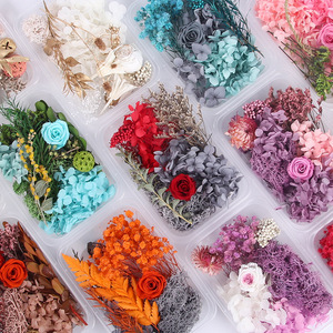 Kit de fleurs séchées Yuluhui, hortensia et rose, emballage en boîte plastique pour artisanat, cadeau et décoration - Product Image 1
