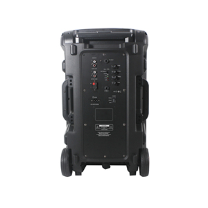 Altavoz Inalámbrico Portátil para Exteriores de 12 Pulgadas, Altavoz Activo con Sonido BT para Fiestas - Product Image 1