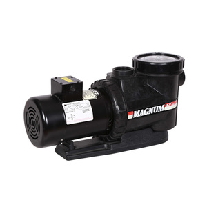 Bomba de Agua para <span class=keywords><strong>Piscina</strong></span> de 5hp Marca Finn Forest - Product Image 4