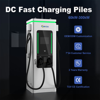 Chargeur EV DC-DC à énergie solaire 80KW 120KW 160KW, chargeur rapide DC haute puissance à double pistolet