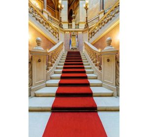Toile <span class=keywords><strong>de</strong></span> <span class=keywords><strong>fond</strong></span> luxueuse <span class=keywords><strong>de</strong></span> château et <span class=keywords><strong>de</strong></span> palais pour la photographie, tapis rouge, escaliers, opéra, église, mariage, fête d'anniversaire, portrait, <span class=keywords><strong>fond</strong></span> photo - Product Image 4