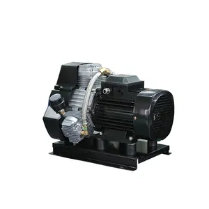 Portable air compressor high pressure oil free heavy duty air compressor 400LPM industrial compressor used for electric vehicle