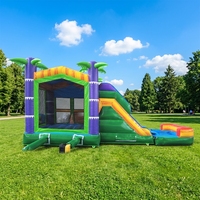 WINSUN Château gonflable combiné personnalisé en forme de noix de coco pour usine, en promotion et pour la location