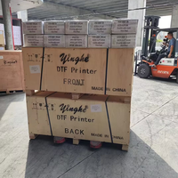 Imprimante DTF automatique Yinghe A2 60cm avec tête Epson, système de secouage de poudre rouleau-à-rouleau, pour film PET et impression d'encre DTF sur T-shirts, garantie 1 an