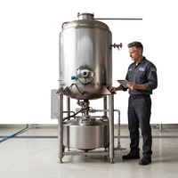 Automatische 380V/220V hoog-efficiënte wasmachine voor groente- en fruitolie met 3T capaciteit voor het reinigen van olijven