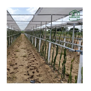 Sistema de Enrejado con Malla de Sombreado para Huertos de Pitahaya, Estructura de Soporte Duradera y de Alta Resistencia con Protección UV - Product Image 2