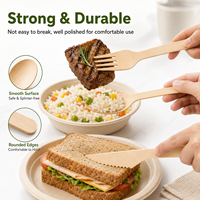 Ensemble de couverts jetables en bois de bouleau de 165 mm (couteau, fourchette, cuillère) de qualité alimentaire FDA pour la restauration aérienne et hôtelière