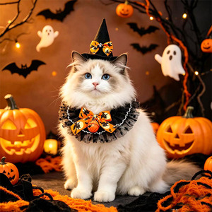 Ensemble bavoir et chapeau pour chat Halloween, motif color block violet et jaune, accessoires de déguisement pour animaux de compagnie, vente en gros - Product Image 1