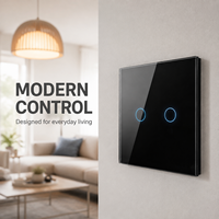 Akıllı Ev Yaşamı WiFi Zigbee Duvar Işık Anahtarı AB Standardı 86x86mm PC Panel 1/2/3'lü Uygulama Uzaktan Kumandası