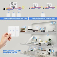 Module de relais intelligent double mode WiFi RF433 OEM Tuya sans fil 10A AC85-240V