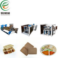 Máquina Termoformadora Servoautomática para Platos, Tazones, Bandejas de Carne, Contenedores de Alimentos para Llevar y Loncheras Ecológicas de PLA