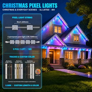 ไฟพิกเซล LED RGBW 6 ดวง ความสว่างสูง สำหรับภายนอกอาคาร 48V SMD5050 IP68 สำหรับตกแต่งทางเดินกลางแจ้งและเทศกาลคริสต์มาส ขายส่ง - Product Image 2