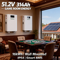 Baterai Lithium Ion 16kWh 48V 51.2V 314Ah untuk Sistem Penyimpanan Baterai Surya, Terpasang di Dinding dengan Roda