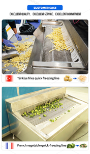 Congelador Industrial IQF Shepody, Túnel de Congelación Rápida para Vegetales, Berenjenas, Dumplings, Carne y Mariscos - Product Image 6