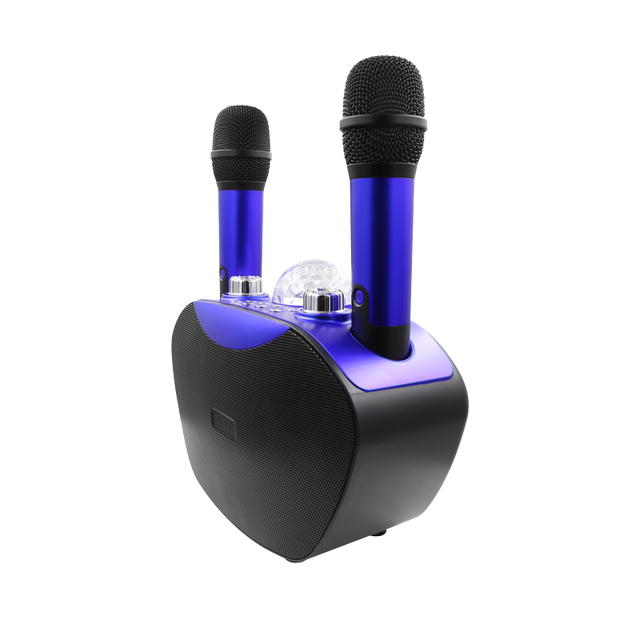 Family Portable Wireless Karaoke Microphone Wireless Speaker 3 in 1 Karaoke With Two Microphones