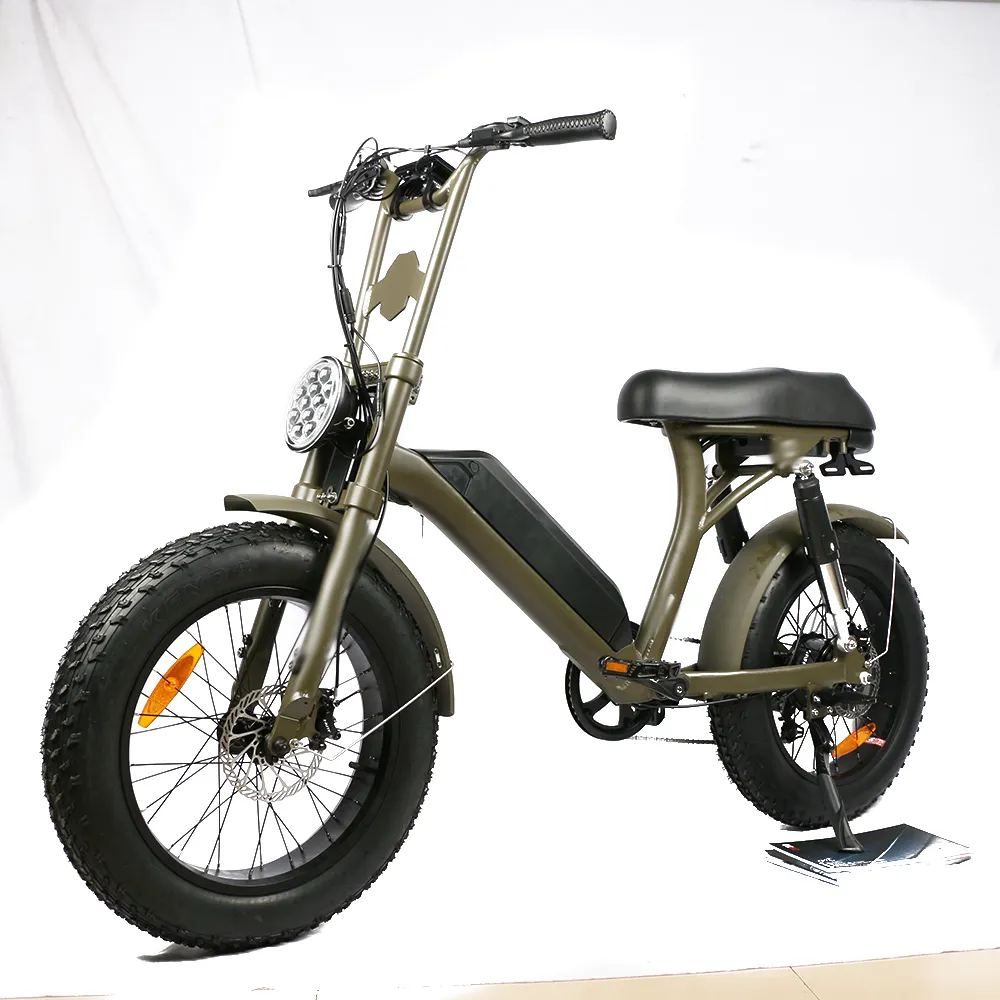 새로운 디자인의 비치 크루저 전기 자전거 여성 도시 통근 지방 자전거는 개인 맞춤형 서비스를 허용합니다