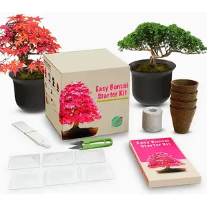 2023 New Product Mini Pcs Bonsai Kit Crafts Hobby Our Complete Beginner Friendly Kit Christmas Gift Ideas Bonsai Starter Kit