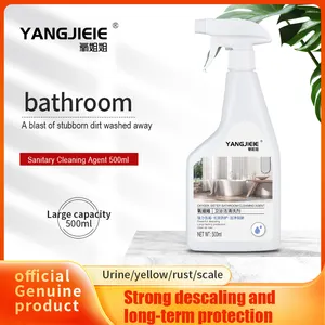 Private label detergente per il bagno prodotti chimici per la casa detergente per wc detergente per marmo 500ml