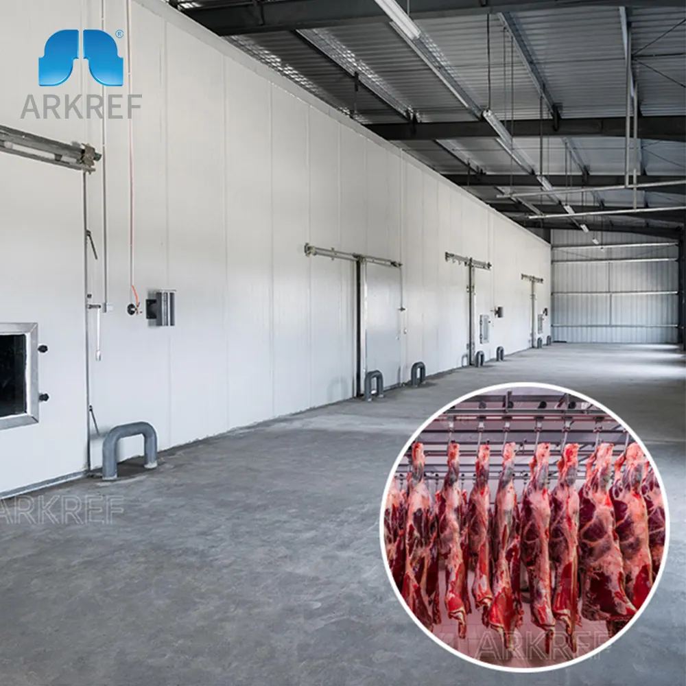 Arkref 고기 양고기 쇠고기 닭고기 돼지 고기 냉장 보관 빠른 냉동실 냉동 장비 장치