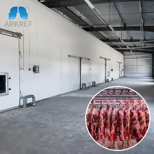 Arkref Meat Mutton Beef Frango Porco Armazenamento a Frio Quick Freezer Room Refrigeration Equipment Unit