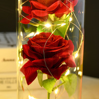 Roses conservées dôme en verre led lumières couleurs rose éternelle fleur préservée dans un dôme en verre pour la Saint-Valentin mariage