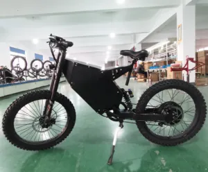 Bicicleta eléctrica de montaña de alta potencia, 2023 w, disponible, 3000