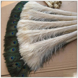 Plumes de paon blanchies 80-90CM Plumes de paon pour projets décoratifs de luxe Solutions et costumes personnalisés DIY Craft Floral - Product Image 5