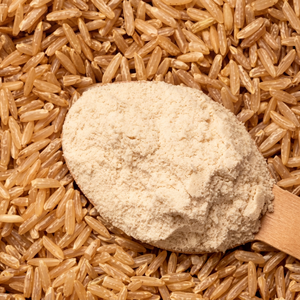 premium plant based rice <b>protein</b> <b>powder</b> for vegan <b>protein</b> blends and functional nutrition products - Product Image 1