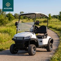 Voiturette de golf tout-terrain deux places, 4 roues, frein hydraulique, homologuée pour la route, buggy électrique avec éclairage LED, couleur personnalisée disponible