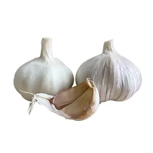 Interested to import Garlic - new season hot sales Garlic Supplier of China