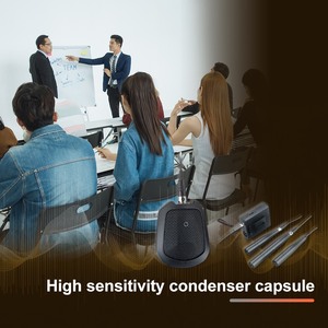 Reliable Surface Mount Microphone Factory Direct Hum-Free Performance Adjustable Frequency - Product Image 5