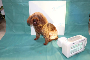 70KV Xray portable avec détecteur à écran plat Xray Digital Dog Xray Machine Vet <span class=keywords><strong>DR</strong></span> - Product Image 2