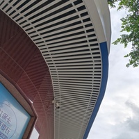 Plafond en aluminium en forme de U personnalisé pour l'extérieur, grille linéaire pour plafond, décoration de plafond intérieur et extérieur