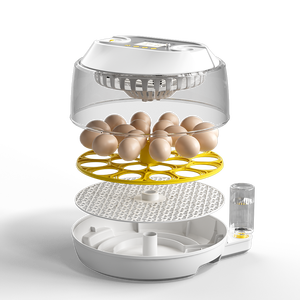 2026 कारखाने प्रत्यक्ष आपूर्ति नए डिजाइन 18 चिकन अंडे इनक्यूबेटर और 79 क्वेल अंडे इनक्यूबेटर डिजिटल तापमान नियंत्रण - Product Image 6