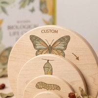 Houten Montessori vlinder levenscyclus schijven biologische wetenschap leerzaam OEM educatief zintuiglijk speelgoed kleurrijk uniseks