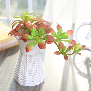 Plantes grimpantes artificielles en plastique <span class=keywords><strong>Lithops</strong></span>, succulentes écologiques, fournitures créatives DIY, accessoires muraux végétaux, fleurs - Product Image 3