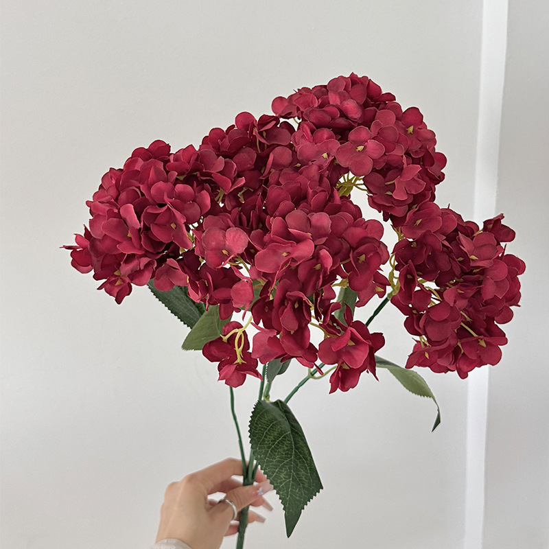 Rouge