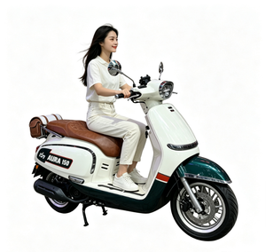 Acquista Sei e Ricevi Uno Gratis: Bicicletta Elettrica a Due Ruote OEM/ODM, Design da Corsa, Facile per Salite in Montagna, Batteria Rimovibile, Economica - Product Image 4