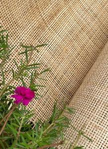 Furniture <b>Webbing</b> Wood <b>Cane</b> Supplier Caning for Chair Seats - Product Image 4