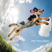 Vente en gros 2024 Étui en cuir PU pour Airtag Housse en cuir creux Localisateur d'animaux de compagnie en stock