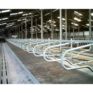 Precio de Fábrica, Establos Modernos para Vacas con Estructura de Acero Galvanizado, Construcción Rápida para Granjas - Product Image 3